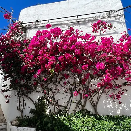 Appartement Buganvilla Vejer *