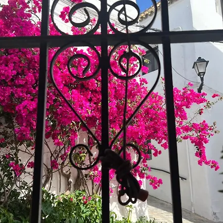 Buganvilla Vejer Apartament