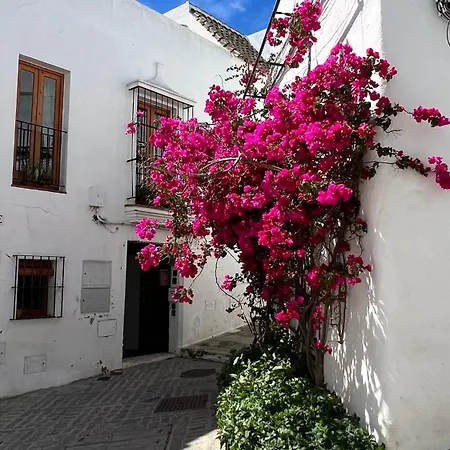 Buganvilla Vejer Vejer de la Frontera